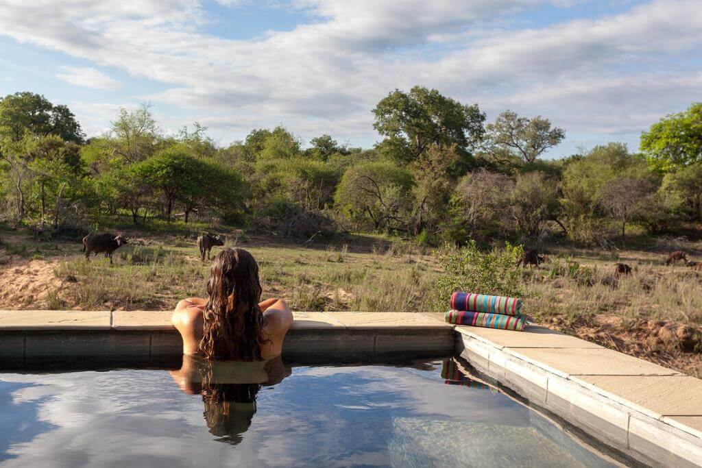 thornybush the river lodge images 6