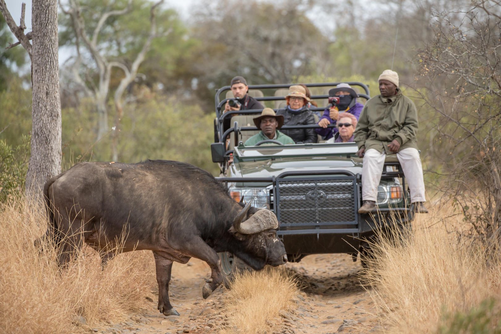 Becks Safari Lodge – Karongwe – Kruger Private Reserves