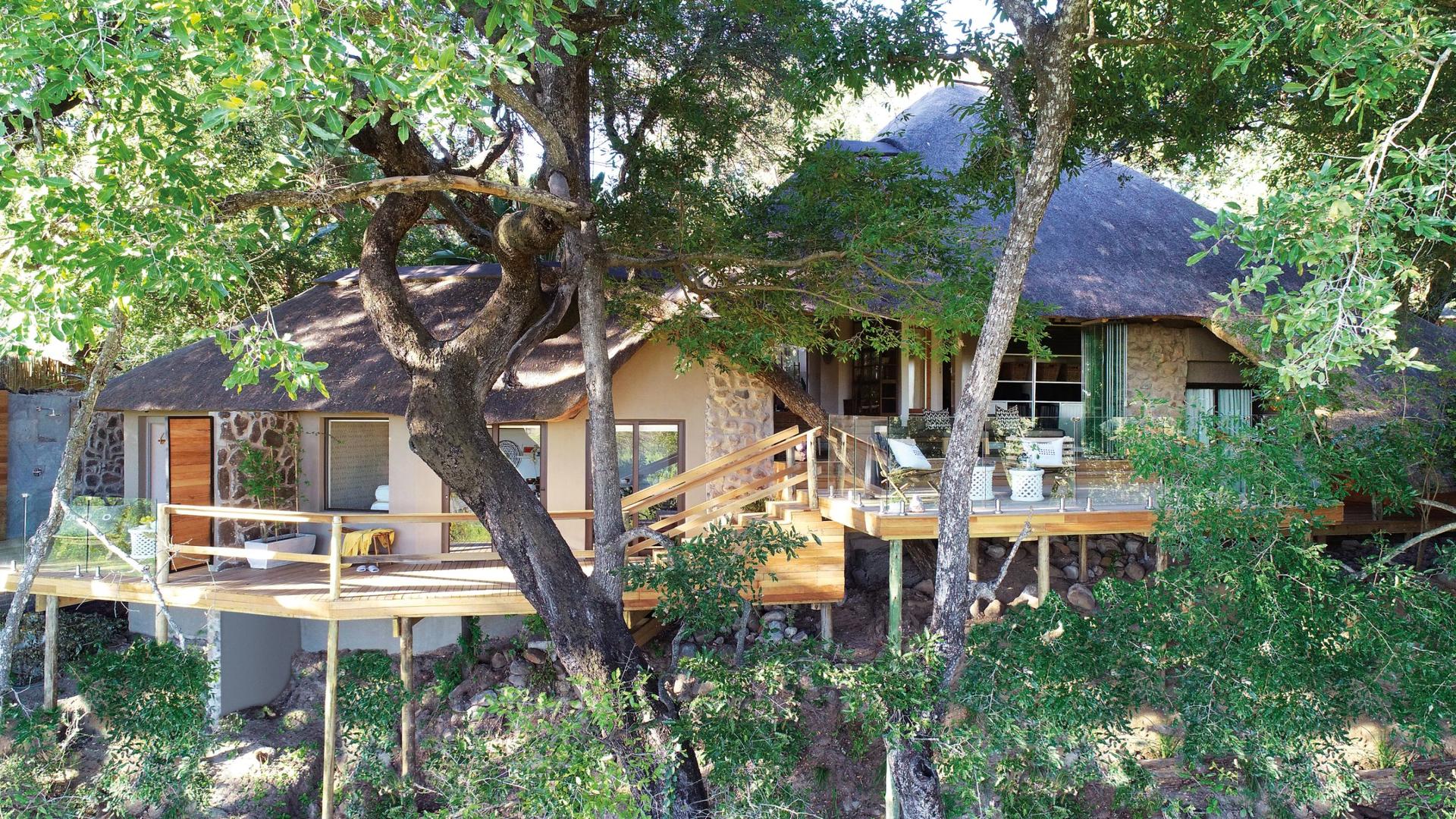 londolozi tree camp sabi sands lodges reservations 75