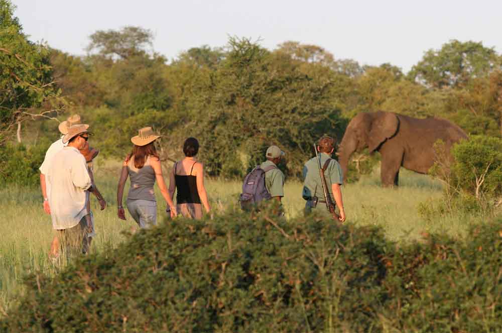 Walking Safaris in the Kruger National Park 6