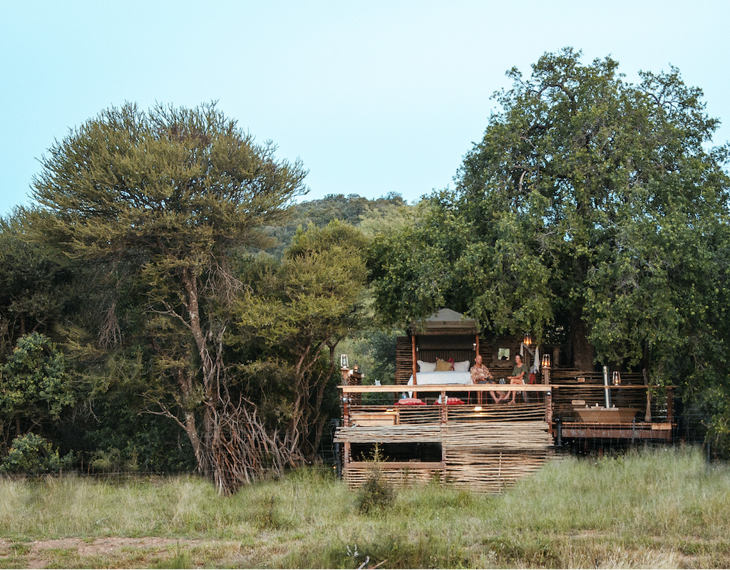 Jacis Tree Lodge Madikwe Reserve Sabi Sands Game Reserve 8
