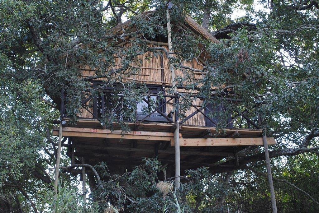 Marcs Treehouse Lodge 1