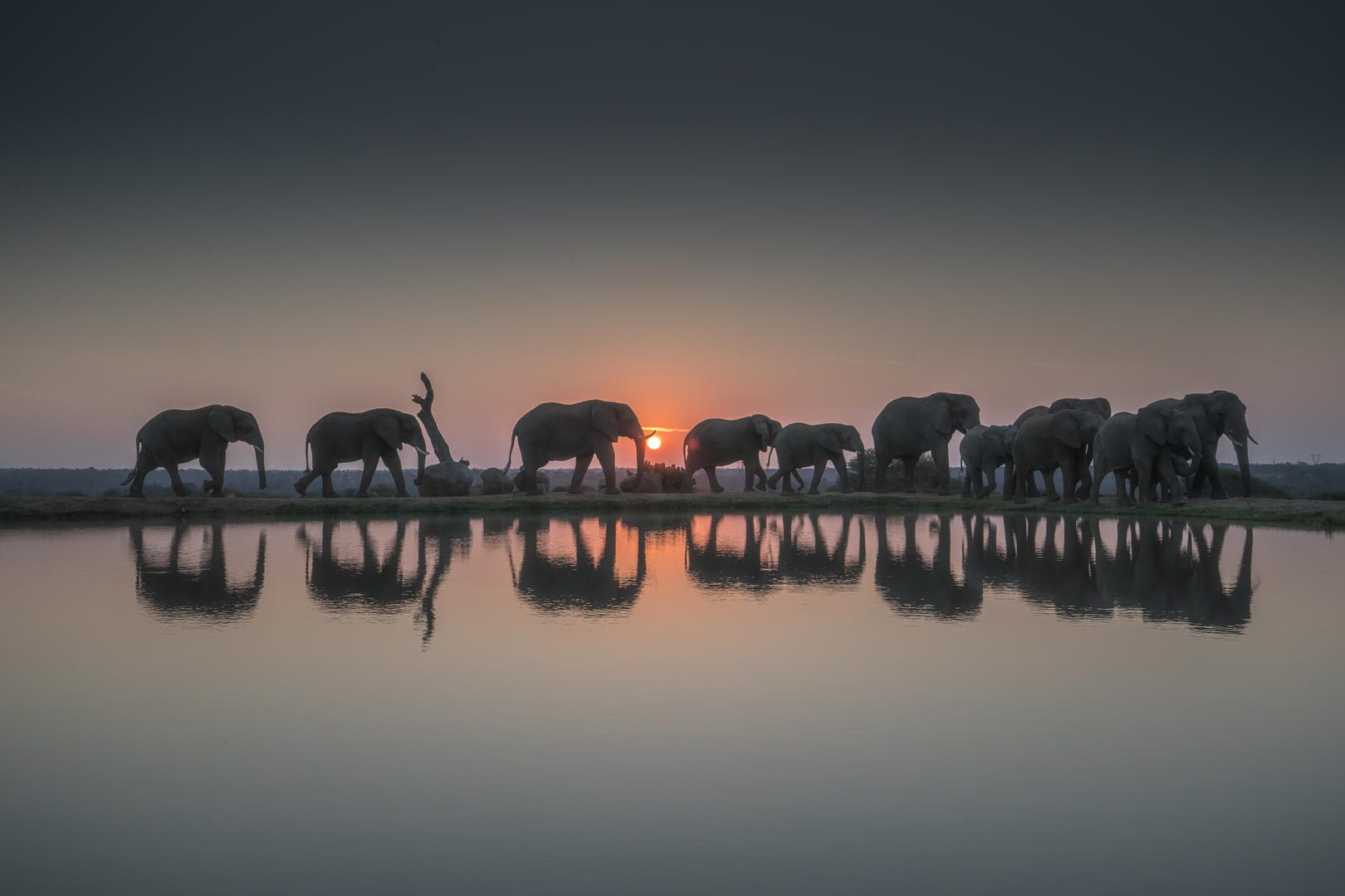 Jabulani Safari Camp – Kruger Private Reserves – South Africa