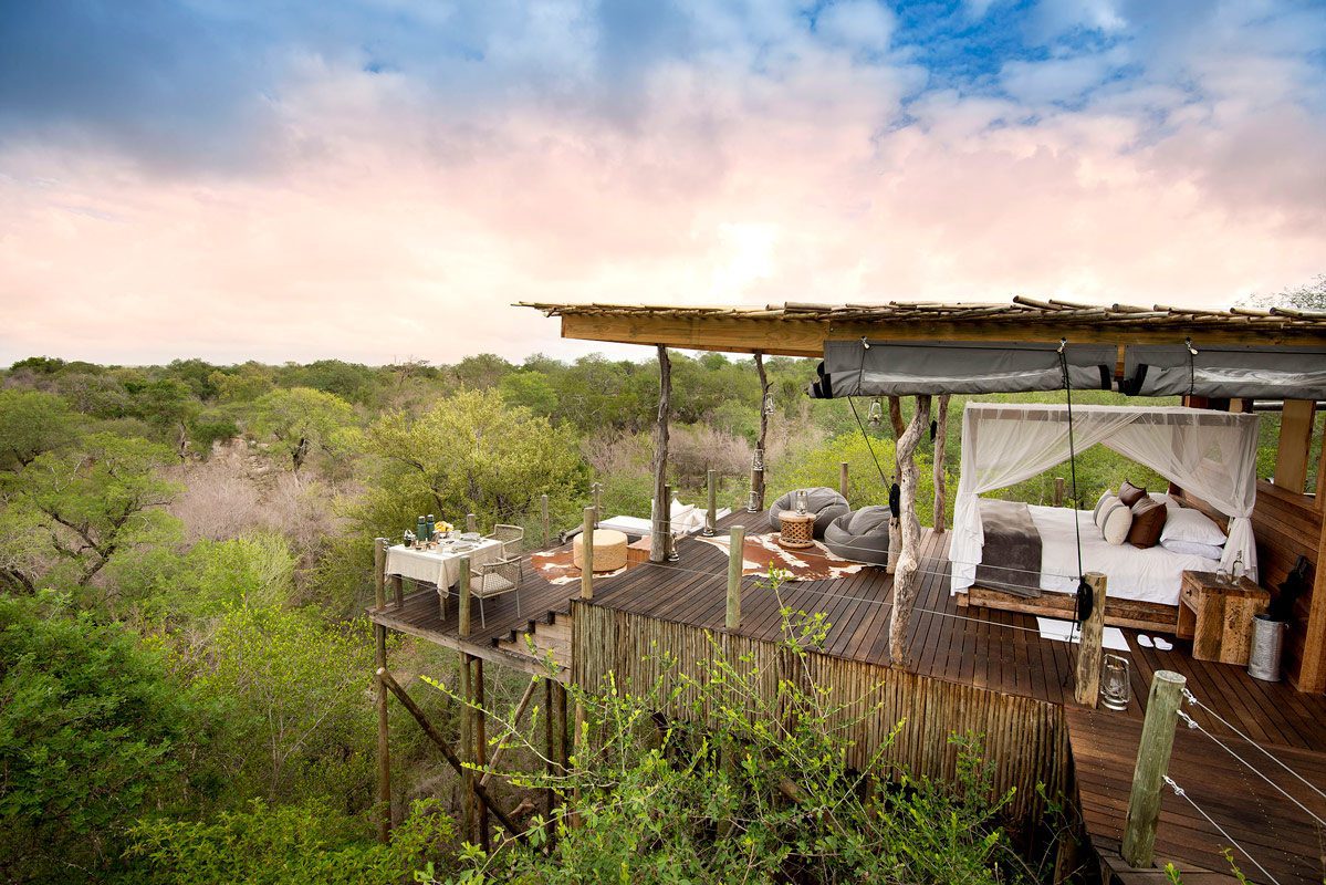 Sabi Sands Accommodation - Luxury Safari Lodges - Sabi Sands Game Reserve - Kruger National Park - South Africa 63 lion sands treehouse LionSands KingstoneTreehouse