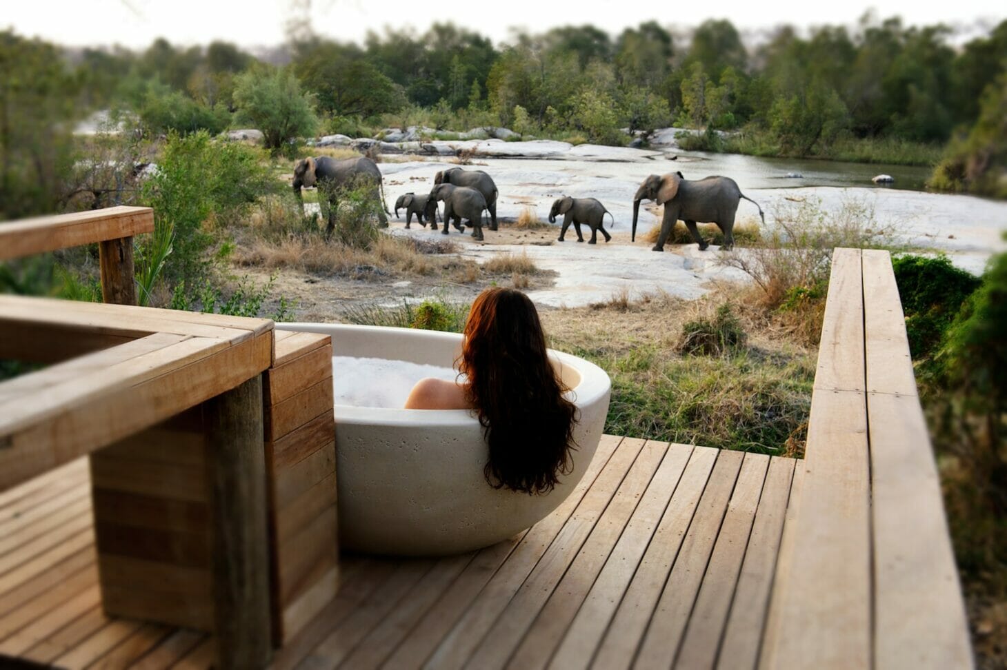 londolozi granite suites sabi sands kruger park londolozi game reserve 11