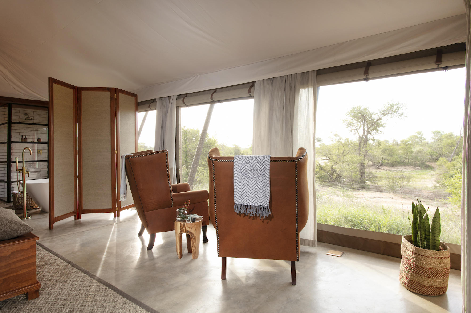 Thabamati Luxury Tented Camp Timbavati Greater Kruger Park 14
