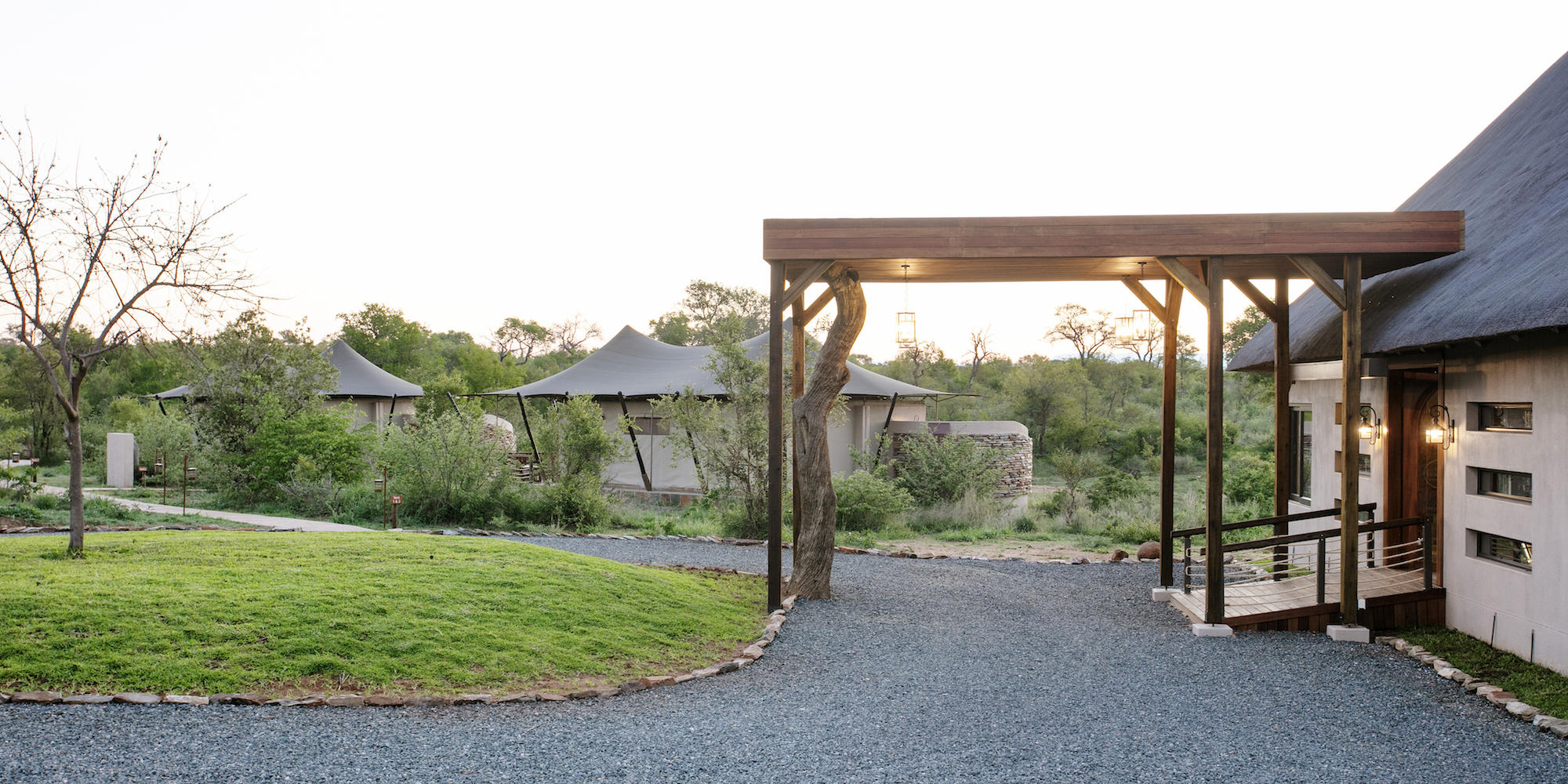 Thabamati Luxury Tented Camp Timbavati Greater Kruger Park 26