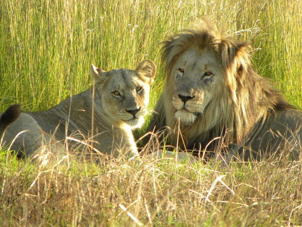 Clifftop Exclusive Safari Hideaway Welgevonden Limpopo 35