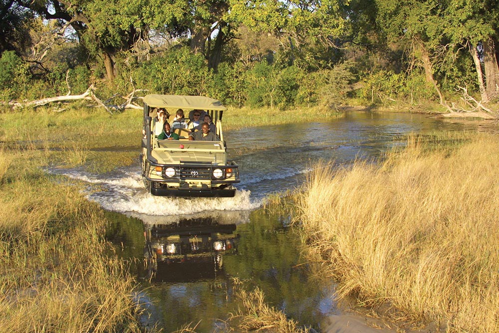 Pom Pom Safari Camp Okavango Delta Botswana 12