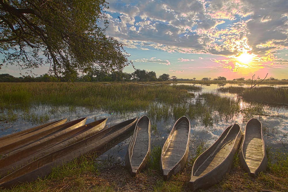 Pom Pom Safari Camp Okavango Delta Botswana 6