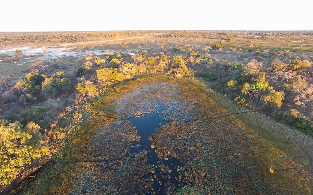 Pom Pom Safari Camp Okavango Delta Botswana 9