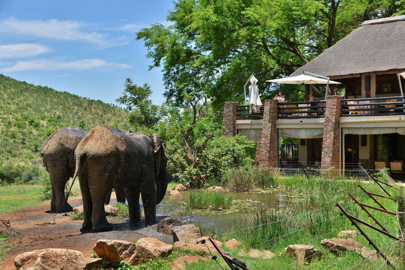 Kwa Maritane Bush Lodge Pilanesberg Game Reserve 29