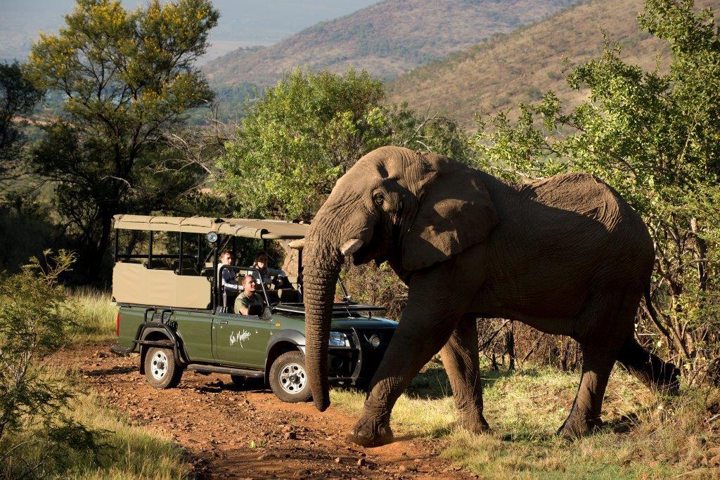 Kwa Maritane Bush Lodge Pilanesberg Game Reserve 31
