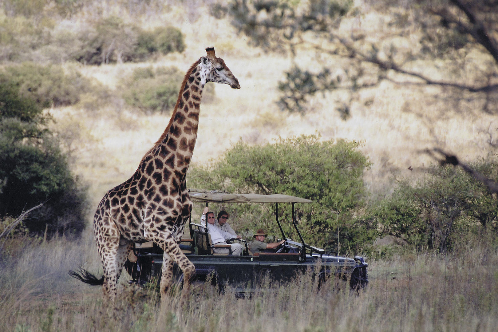 Makweti Safari Lodge Welgevonden Game Reserve 1