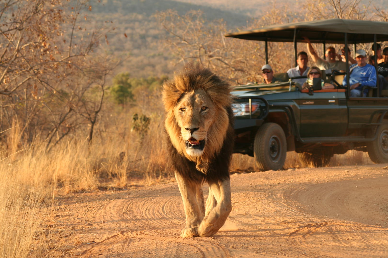 Makweti Safari Lodge Welgevonden Game Reserve 3