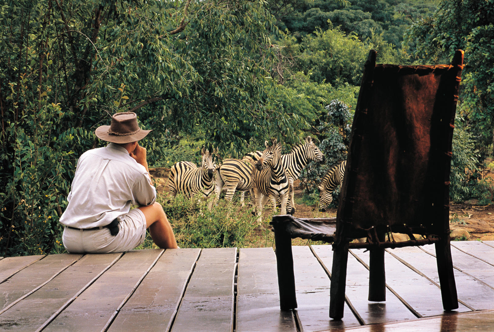 Makweti Safari Lodge Welgevonden Game Reserve 31