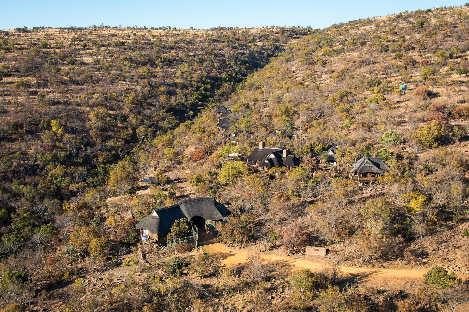 Tshwene Lodge Welgevonden Game Reserve rare earth 29