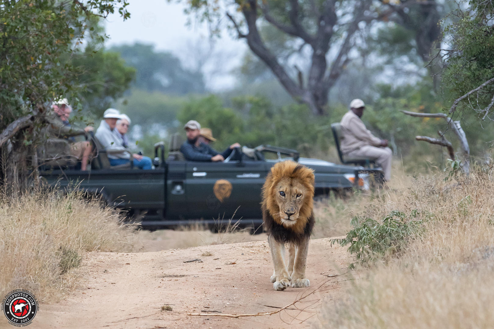 Shumbalala Private Lodge – Thornybush Game Reserve – Kruger National Park Luxury Lodges