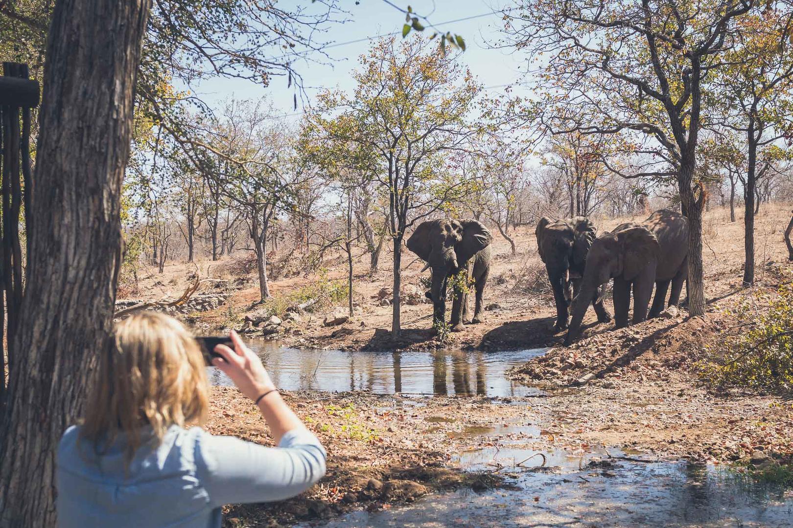 Chacma Bush Camp – Greater Kruger National Park