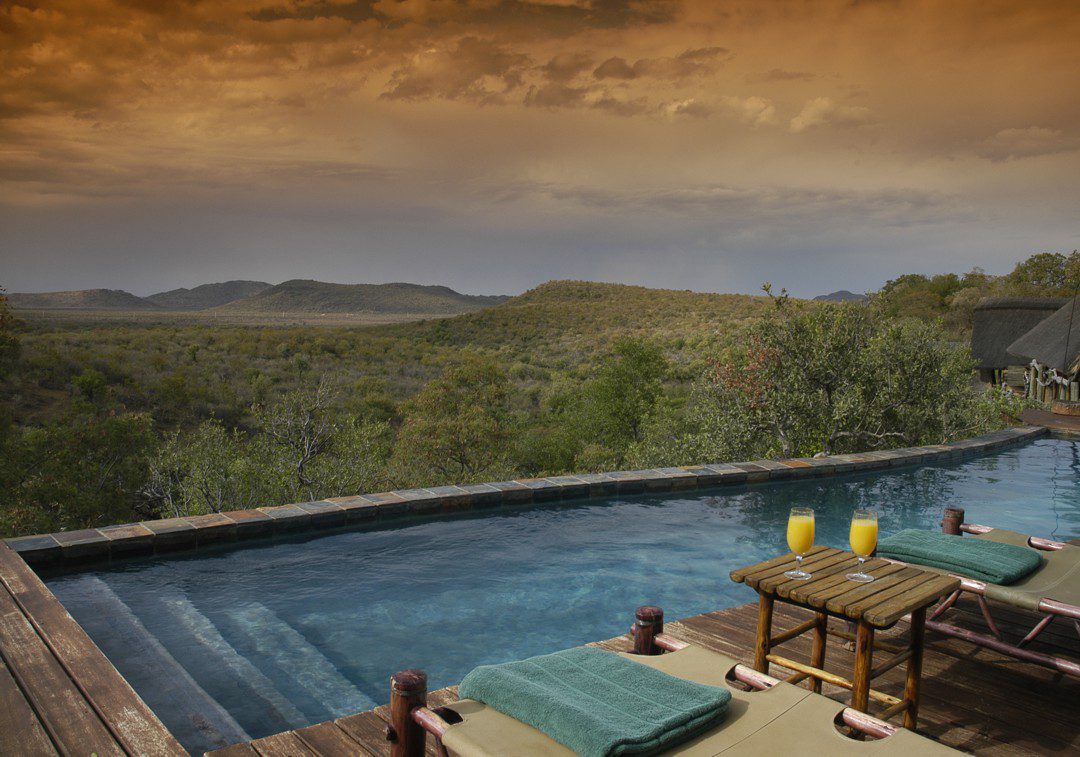 Buffalo Ridge Safari - Sabi Sands Game Reserve - Reservations