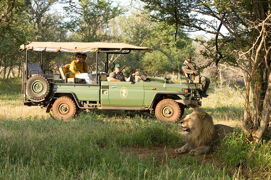 game drive IN MATEYA