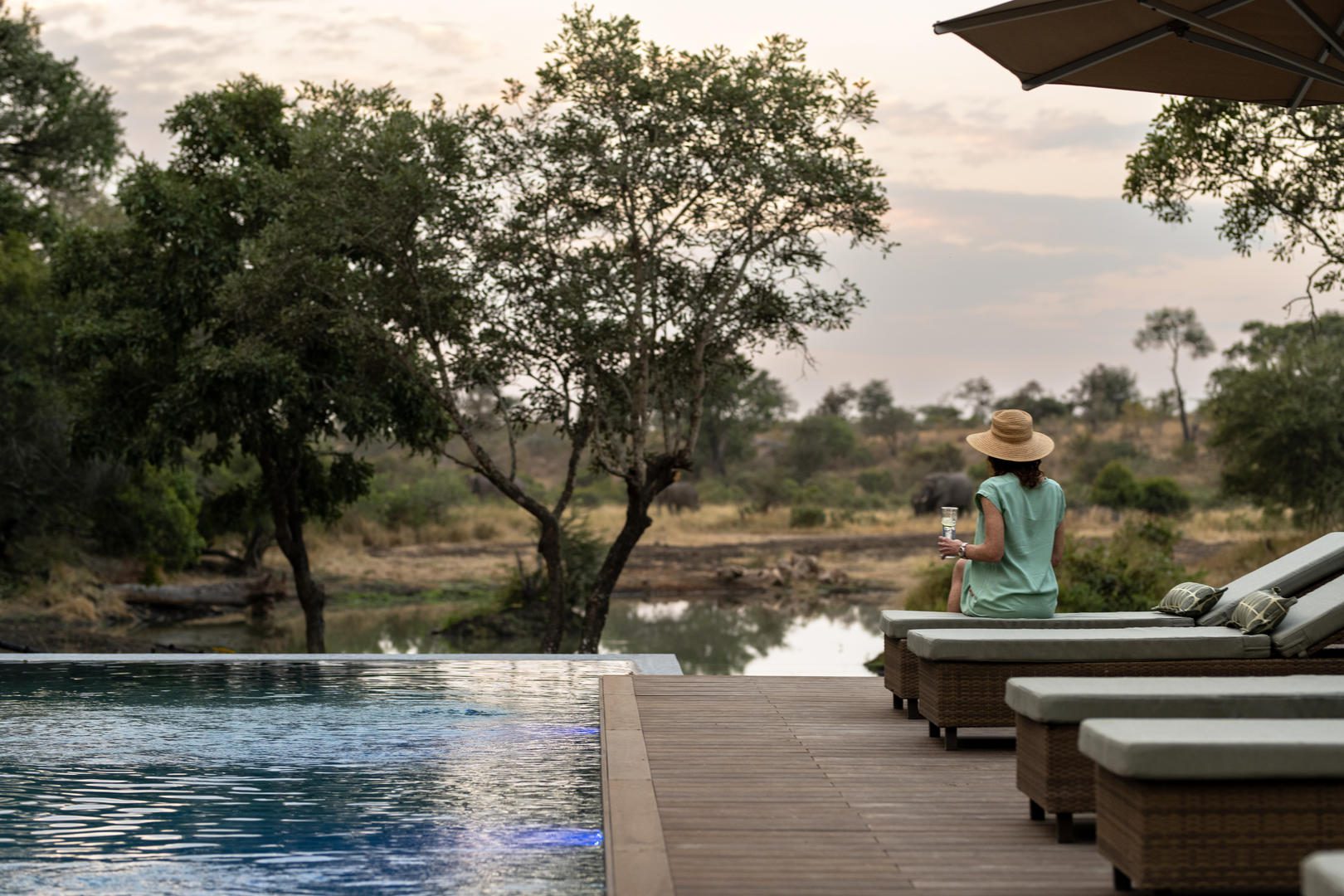 tanda tula safari camp new images ()