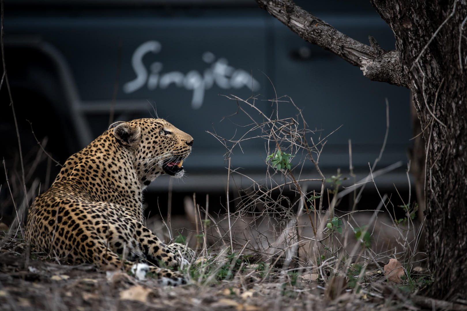 Game Drive