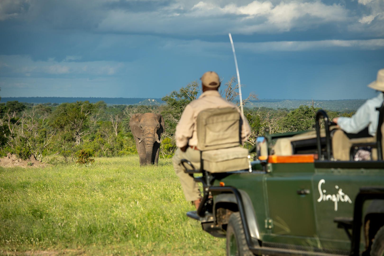 activities game drive singita sabi sand ross couper