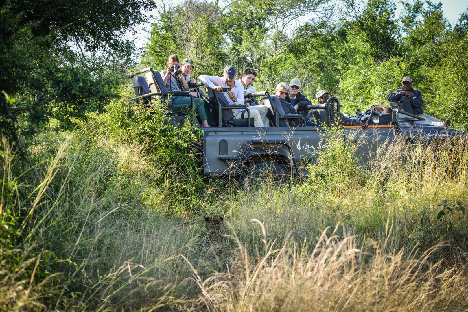 lion sands safari game drive preview