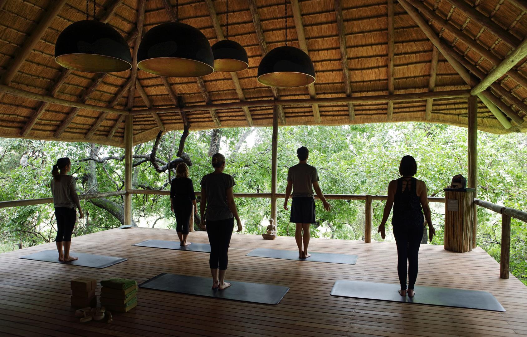 londolozi healing house yoga
