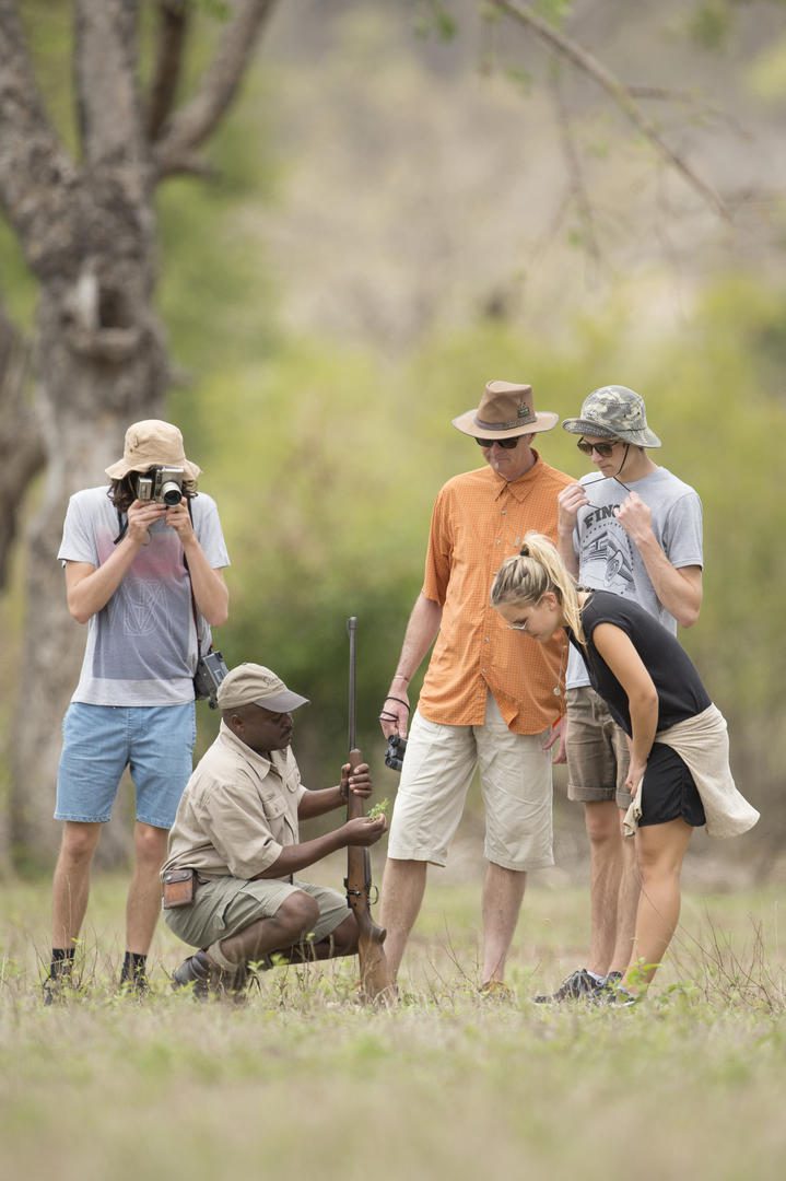 singita castleton game drive