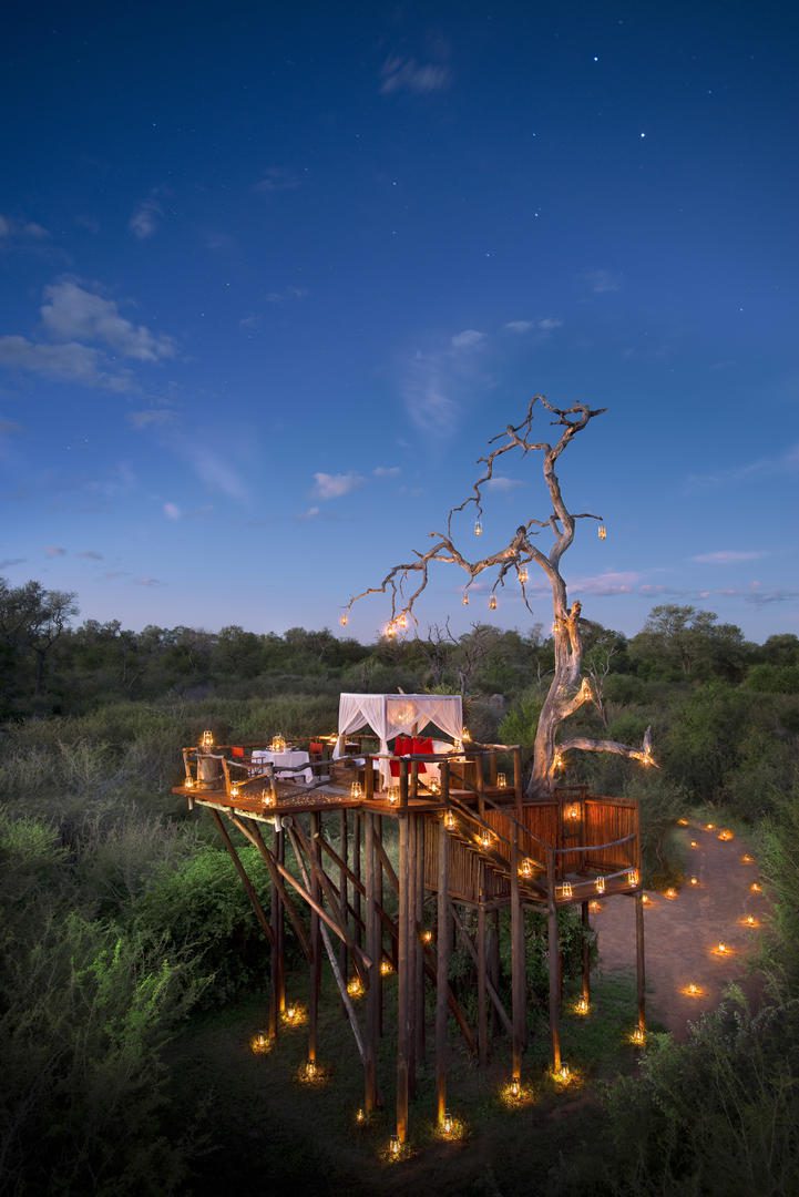 tree house