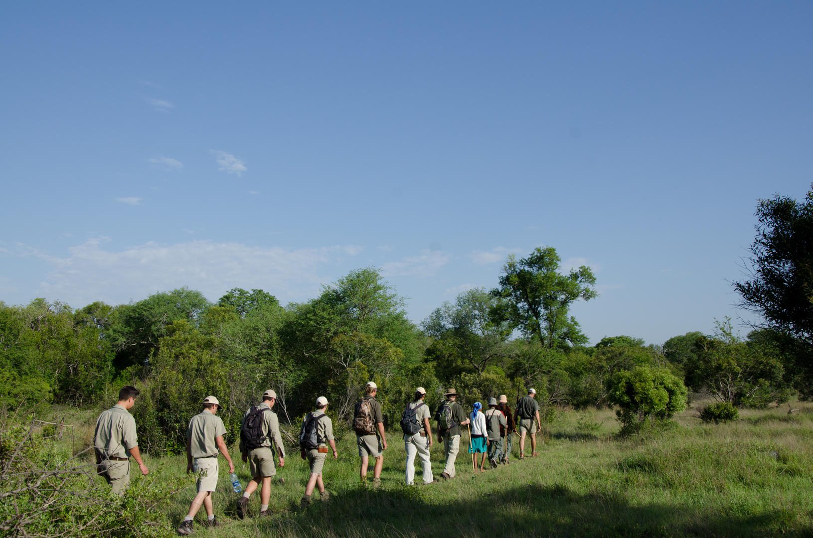 walking safari